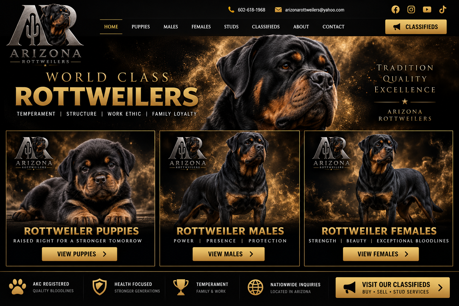 Arizona Rottweilers