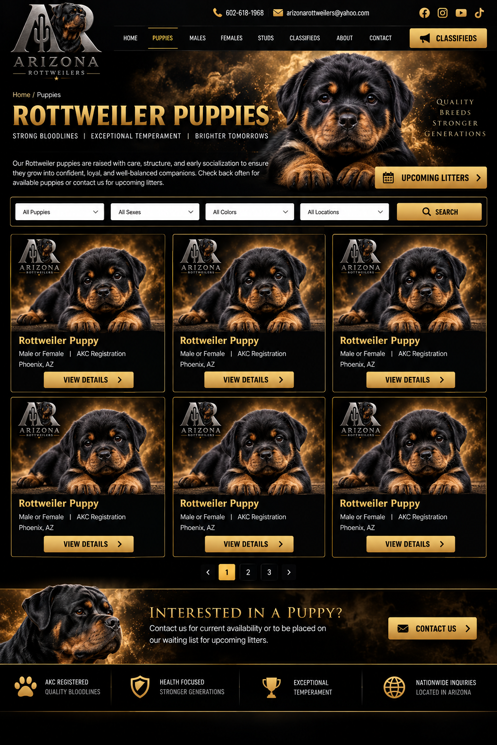 Rottweiler puppy with gold smoke